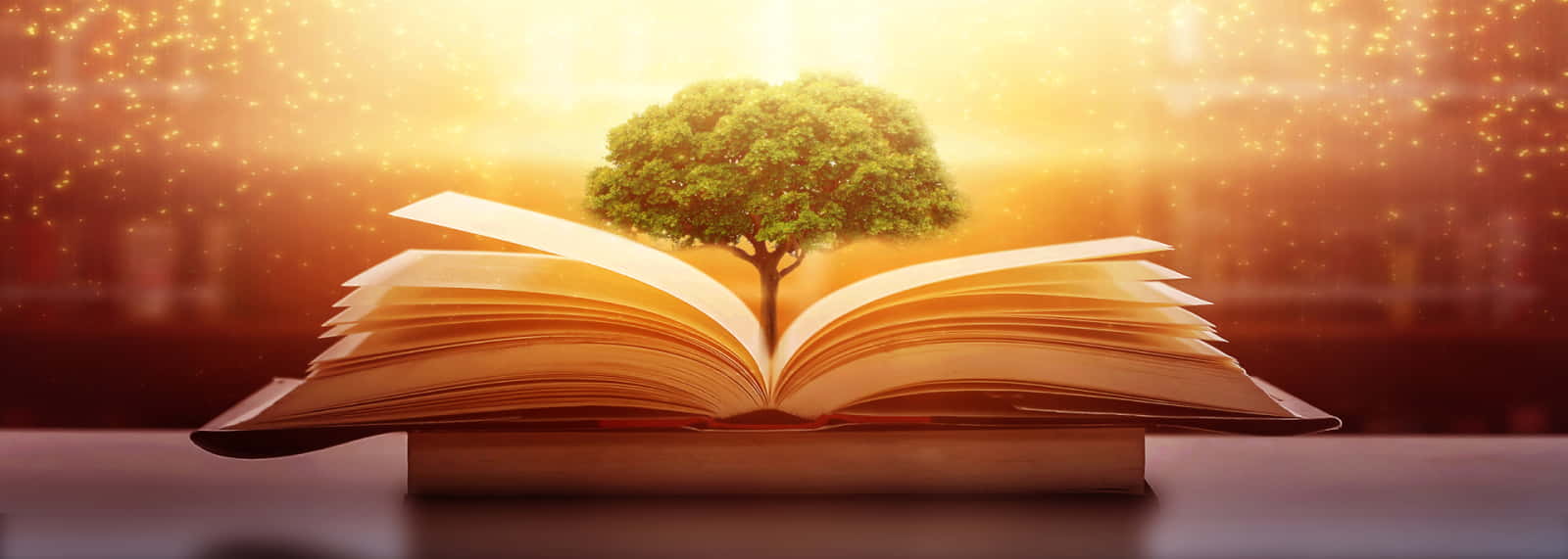 Shyam Mandala, an ABER employee, pioneers ‘sustainability education drives’ in his locality Shyam Mandala, an ABER employee, pioneers ‘sustainability education drives’ in his locality