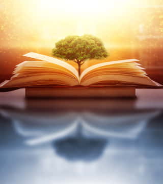 Shyam Mandala, an ABER employee, pioneers ‘sustainability education drives’ in his locality