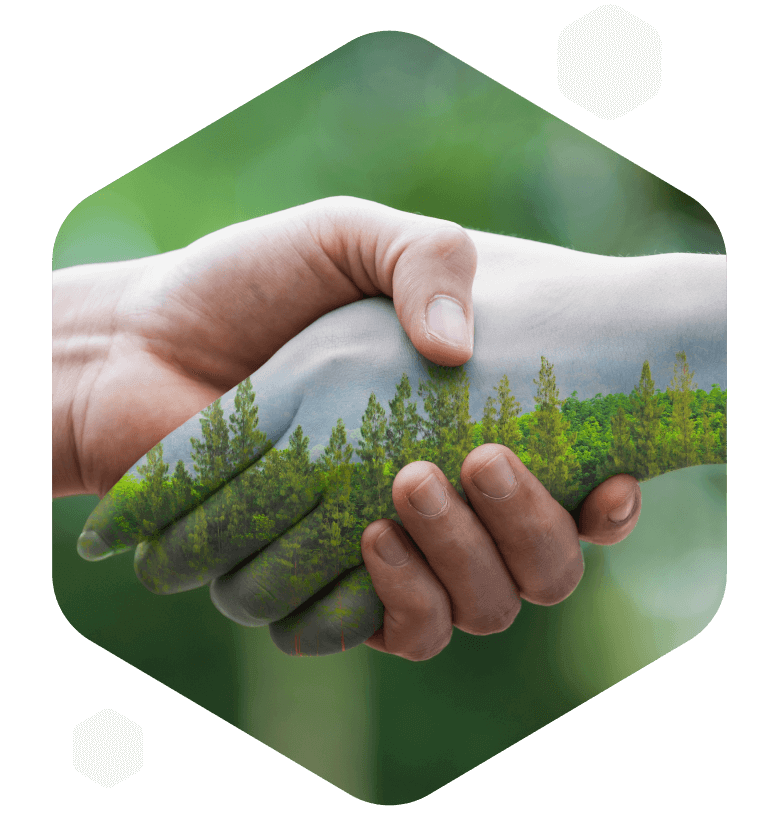 Living our promise through outcomes, culture, and sustainability