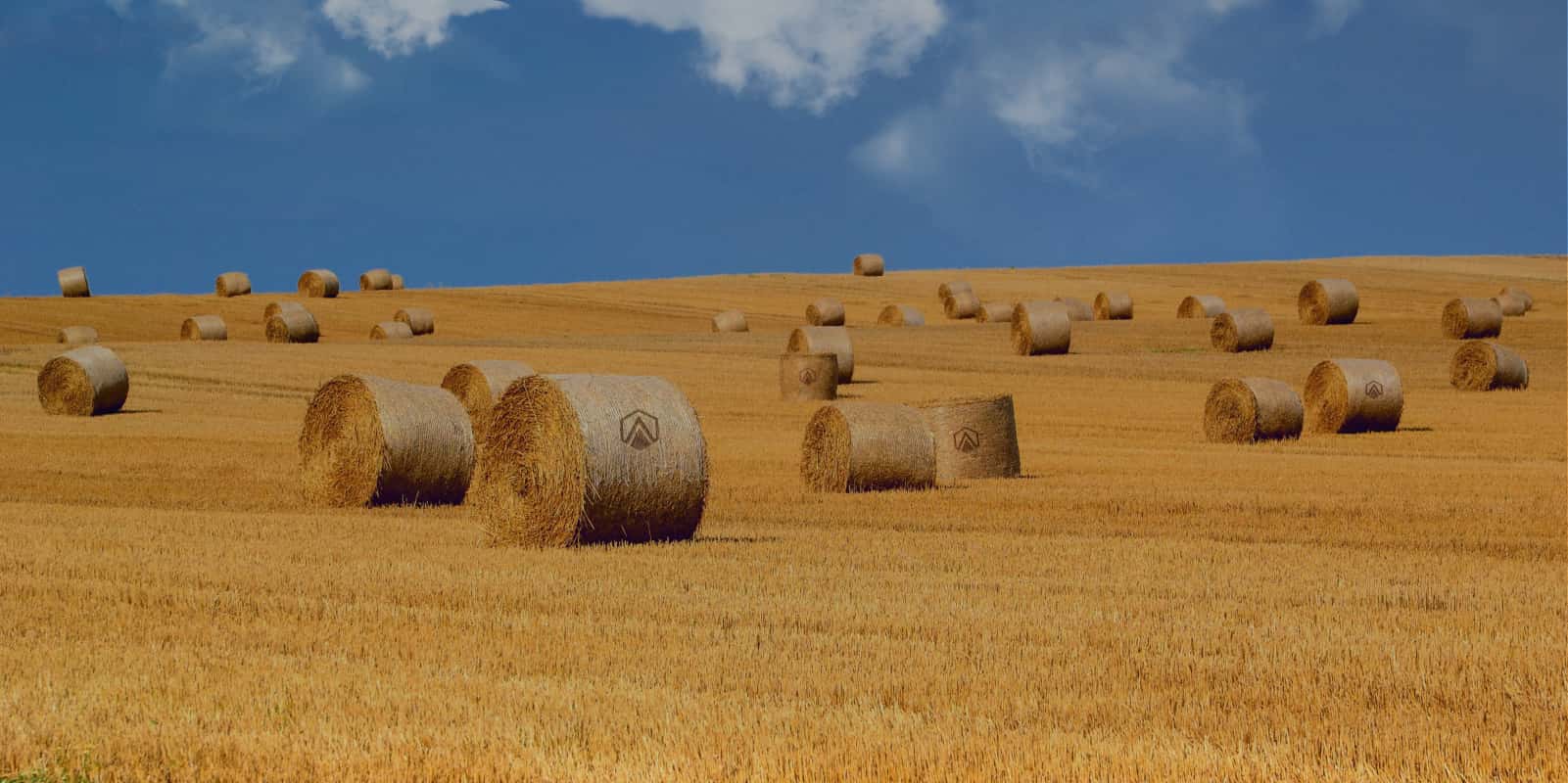 Making a<br>difference in every<br>customer’s<br>lifestyle, one bite at a time